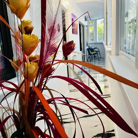 Plaja Neversea Apartment *